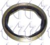 TRICLO 334128 Seal, wheel hub